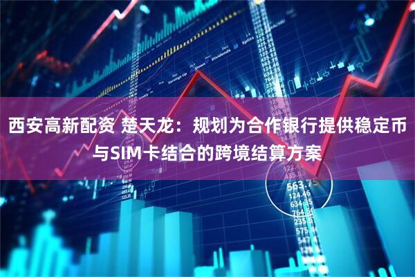 西安高新配资 楚天龙：规划为合作银行提供稳定币与SIM卡结合的跨境结算方案
